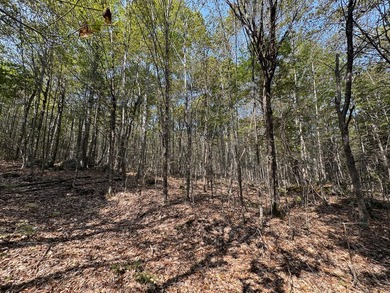 Unique lakefront parcel with twentyA+- acres of mature forest - photo 11