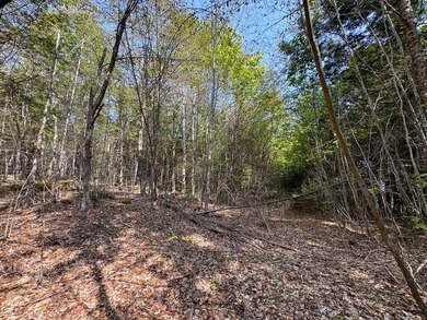 Unique lakefront parcel with twentyA+- acres of mature forest - photo 12