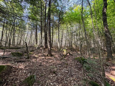 Unique lakefront parcel with twentyA+- acres of mature forest - photo 17