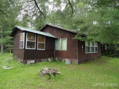 Gogebic Lake Home For Sale in Bergland Michigan