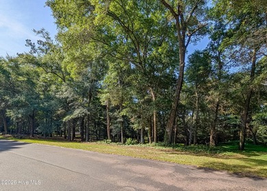 Discover one of the most unique homesite opportunities in River - photo 8