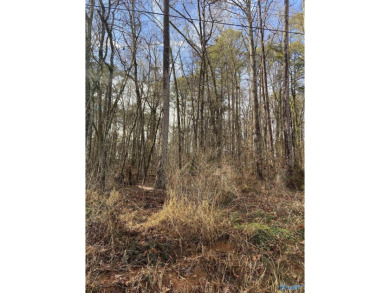 Lake Lot For Sale in Scottsboro, Alabama