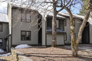 Lake Condo For Sale in Warren, Vermont