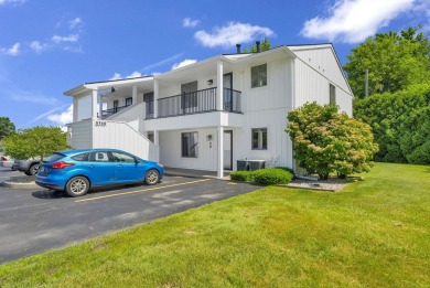 Lake Condo For Sale in Lexington, Michigan