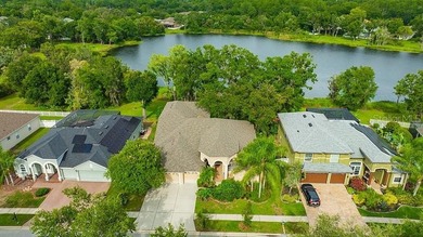 (private lake, pond, coastal) Home For Sale in Land O Lakes Florida