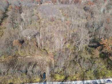 31 Acres of Prime Deer Hunting Land | Vigo County, Indiana - photo 11
