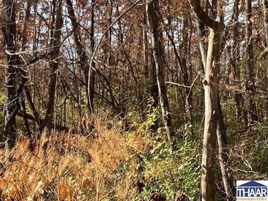 31 Acres of Prime Deer Hunting Land | Vigo County, Indiana - photo 12