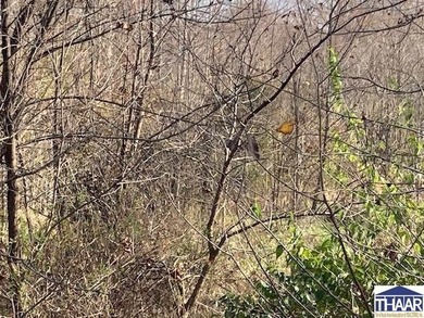 31 Acres of Prime Deer Hunting Land | Vigo County, Indiana - photo 14