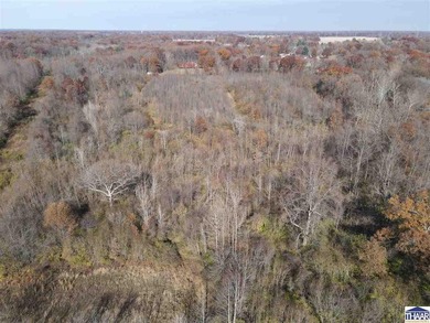31 Acres of Prime Deer Hunting Land | Vigo County, Indiana - photo 15