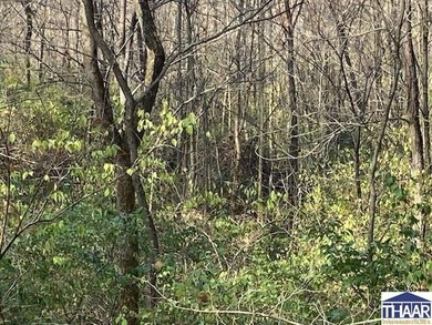 31 Acres of Prime Deer Hunting Land | Vigo County, Indiana - photo 16