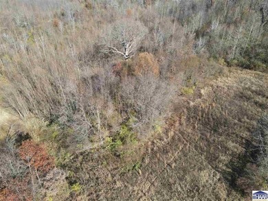 31 Acres of Prime Deer Hunting Land | Vigo County, Indiana - photo 17