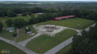 Lake Russell Commercial For Sale in Elberton Georgia