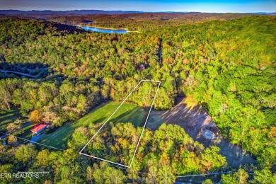Norris Lake Acreage For Sale in Andersonville Tennessee