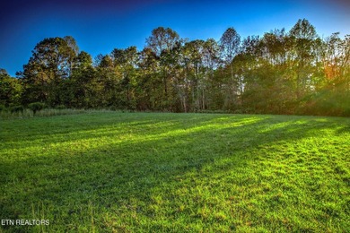 Looking for clear level land with a septic already in place! - photo 10