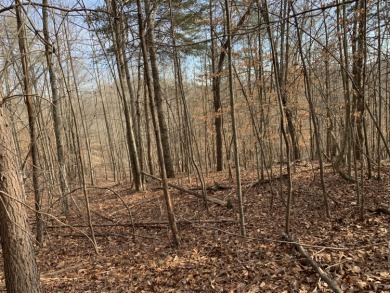 Lake Acreage For Sale in New Tazewell, Tennessee