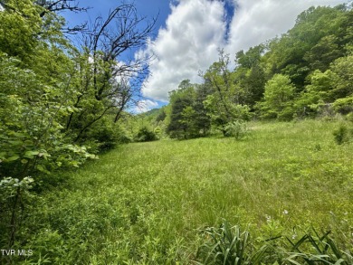 (private lake, pond, creek) Acreage Sale Pending in Eidson Tennessee