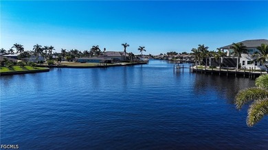 NEW Price. Going, going, ......THIRTY FOOT DOCK WITH 12,000 lb - photo 47