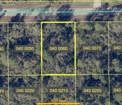 Lehigh Acres Area Lot For Sale in Lehigh Acres Florida