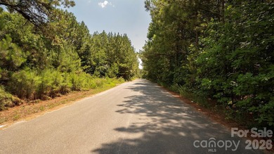 Exceptional 100 - acre tract in Sherrills Ford, N.C - photo 13