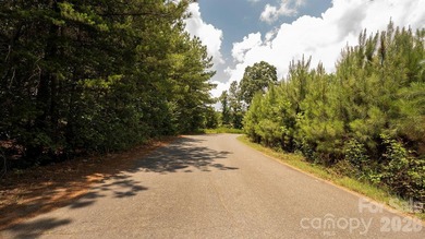 Exceptional 100 - acre tract in Sherrills Ford, N.C - photo 14