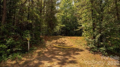 Exceptional 100 - acre tract in Sherrills Ford, N.C - photo 16