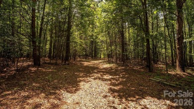 Exceptional 100 - acre tract in Sherrills Ford, N.C - photo 17