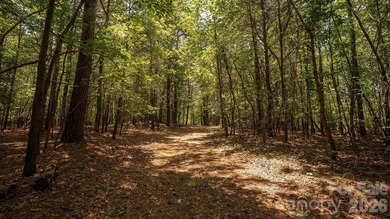 Exceptional 100 - acre tract in Sherrills Ford, N.C - photo 19