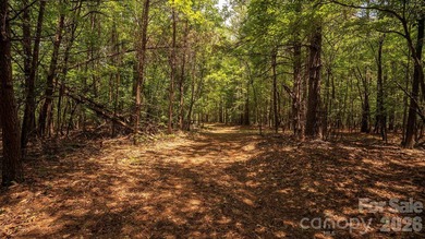 Exceptional 100 - acre tract in Sherrills Ford, N.C - photo 20