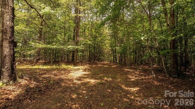 Exceptional 100 - acre tract in Sherrills Ford, N.C - photo 21