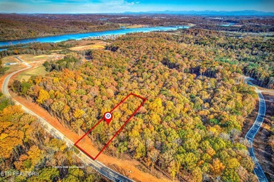 Watts Bar Lake Lot For Sale in Loudon Tennessee