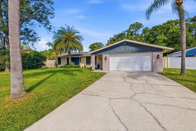 Welcome to this beautifully renovated Carrollwood pool home - photo 29