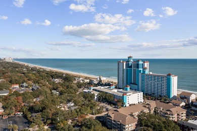 BULK LIFT WILL BE PAID BY SELLER AT CLOSING! This 1BR-1BA Ocean - photo 36