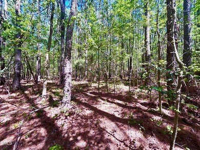 Embrace the quiet beauty of lake-country living with this - photo 2