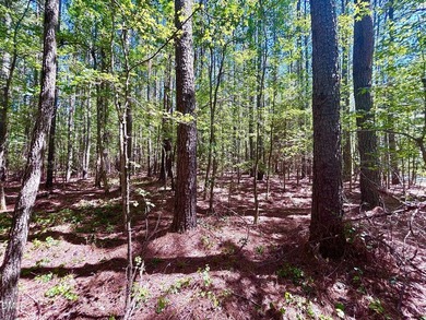 Embrace the quiet beauty of lake-country living with this - photo 8