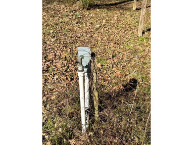 Two waterfront lots with gentle slope on the Patroon Creek arm - photo 14