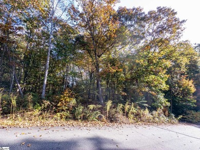 Create your dream lake lifestyle on this beautiful .92-acre lot - photo 15