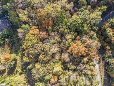 Create your dream lake lifestyle on this beautiful .92-acre lot - photo 17