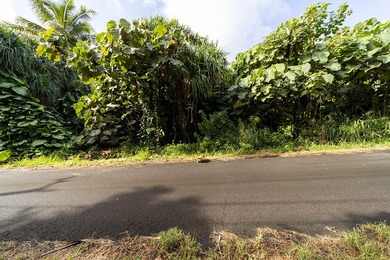 Wake up to the sounds of the Pacific and spend your afternoons - photo 17