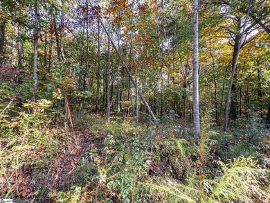 Create your dream lake lifestyle on this beautiful .92-acre lot - photo 18