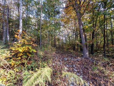 Create your dream lake lifestyle on this beautiful .92-acre lot - photo 20