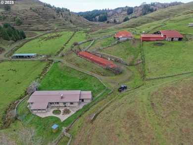 560 acres where sheep once ruled the hills-more than 500 of them - photo 2