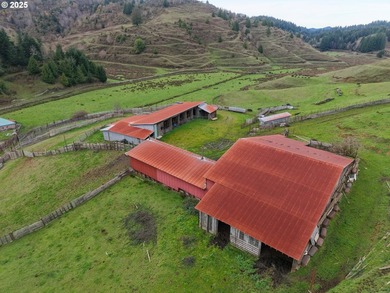 560 acres where sheep once ruled the hills-more than 500 of them - photo 3