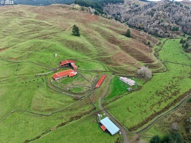 560 acres where sheep once ruled the hills-more than 500 of them - photo 4