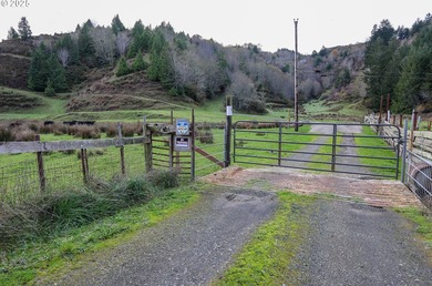 560 acres where sheep once ruled the hills-more than 500 of them - photo 5