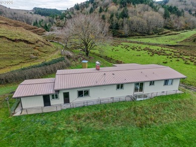 560 acres where sheep once ruled the hills-more than 500 of them - photo 7