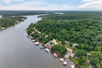 One-owner lakefront retreat offers the COMPLETE package-100 ft - photo 48
