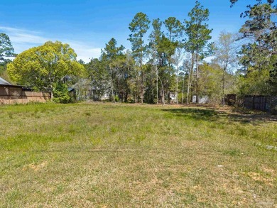Don't miss this rare opportunity to own a cleared, canal-front - photo 3