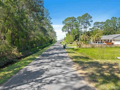 Don't miss this rare opportunity to own a cleared, canal-front - photo 4