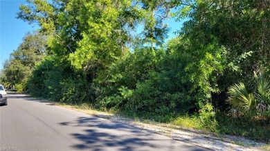 Lehigh Acres Area Lot For Sale in Lehigh Acres Florida