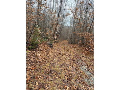 43 Acres of Pristine Maine Wilderness - Pond Road, Abbot, ME - photo 3